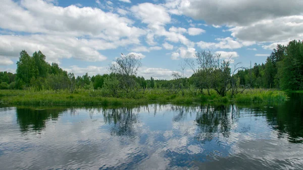 川からのカラフルな夏の風景 水の雲の反射 川の岸の緑の木と草 セダス川 ラトビア — ストック写真