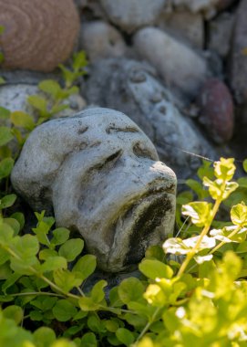 Yeşil bitkilerle kaplı bir taş hayal et. Taş insan yüzüne, bahçedeki dekorasyona benziyor.