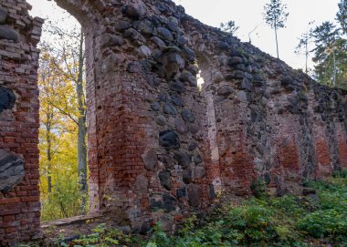 Eski kilise kalıntıları, çalılar ve çimlerle kaplanmış harabeler, sonbahar zamanı Ergeme Evanjelik Luteryan Kilisesi Letonya, Letonya 'daki en güzel kiliselerden biriydi.
