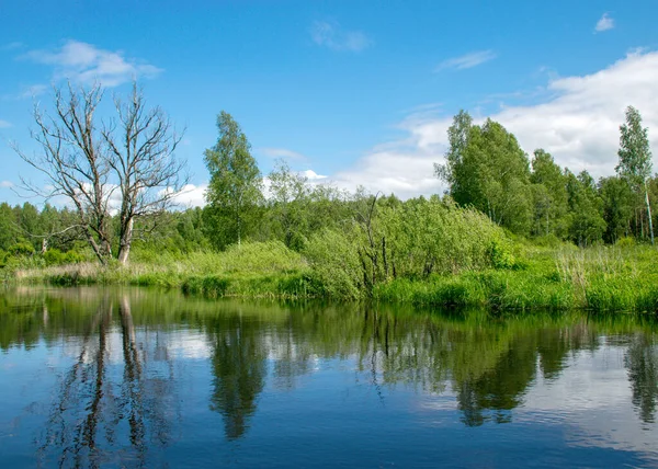 colorful summer landscape from the river, cloud reflections in the water, green trees and grass on the river banks, Sedas River, Latvia