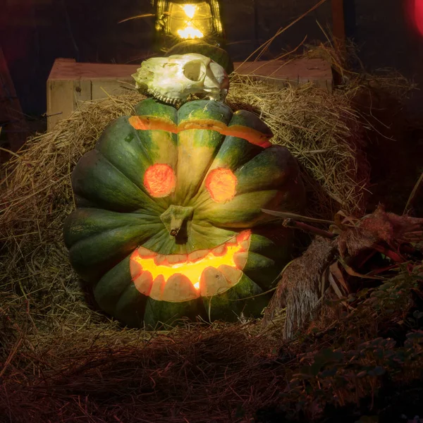 Halloween Pumpa Glöder Mörkret Pumpor Hölada Halloween Tid Höst — Stockfoto