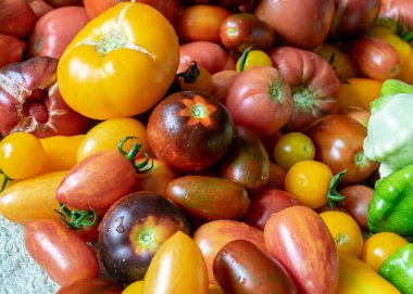 Masanın üzerinde sonbahar sebzeleri, farklı renkler, şekiller ve sebzeler olan renkli fotoğraf ev konservesi, sebze parçaları, sonbahar hasat zamanı için hazırlandı.