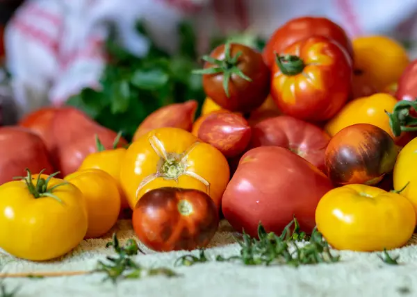 Farbfoto Mit Herbstgemüse Auf Dem Tisch Verschiedene Farben Formen Und — Stockfoto