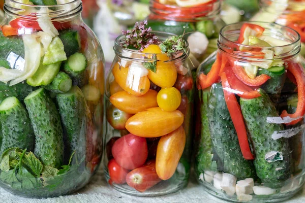 不同颜色 不同类型 不同蔬菜形状的玻璃瓶 为家庭罐头准备的蔬菜 秋天收获时间 — 图库照片