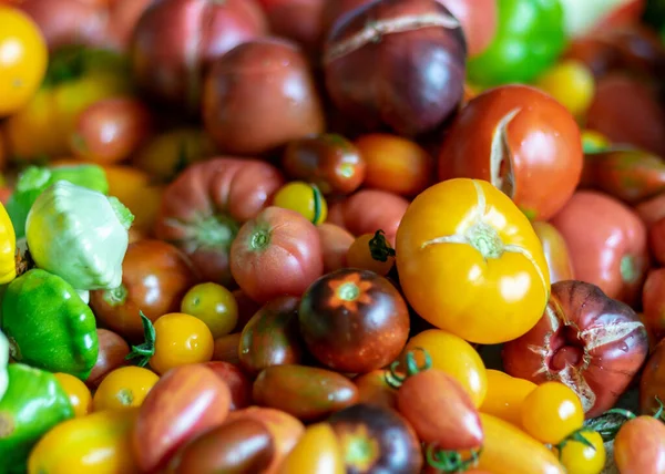 Farbfoto Mit Herbstgemüse Auf Dem Tisch Verschiedene Farben Formen Und — Stockfoto