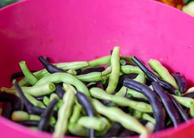 Farklı renkler ve boyutlarda kesilmiş fasulye parçaları parlak kırmızı plastik bir kasede, hasat zamanı, sonbahar