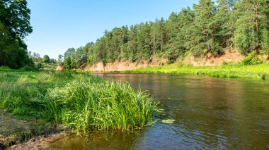 Nehirden gelen renkli yaz manzarası, sahilde kırmızı kumtaşı kayalıkları, sudaki ağaçların yansıması, Salaca Nehri, Kızıl Kayalıklar, Letonya