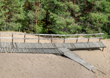Bataklıktan gelen yaz manzarası, yağmurdan sonraki bataklık, ıslak bataklıktaki ıslak tahta köprüler, karanlık fırtına bulutları, geleneksel bataklık bitkisi, kenevir, çim, bataklık çamları Tolkuse bataklık yürüyüş yolu, Parnu ilçesi, Estonya
