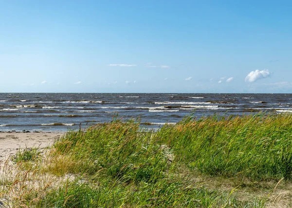 Традиційний Морський Ландшафт Естонії Морські Трави Скелі Мілководді Моря Каблі — стокове фото