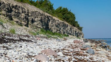 Deniz kenarındaki dolomit kayalarıyla güneşli yaz manzarası, Estonya 'nın Saremma Adası, Tagalaht Körfezi' ndeki Baltık Denizi 'ndeki vahşi romantik uçurum manzarası.