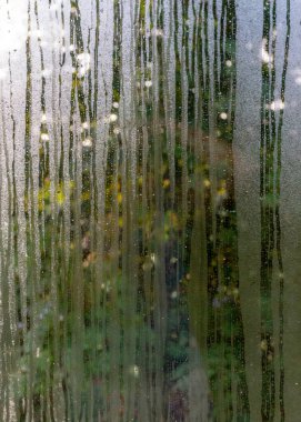 Islak ve terli pencereli soyut fotoğrafçılık, yağmur damlası dokusu, arka planda bulanık ağaç çizgisi