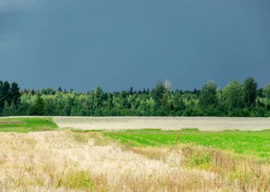 Fırtına bulutlarıyla kırsal alan, yağmur öncesi doğada zıt renkler, sonbahar yaklaşıyor