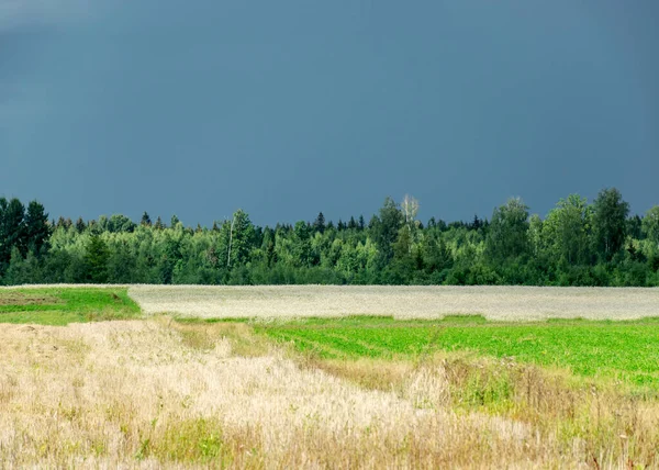 Paisaje Rural Con Nubes Tormenta Colores Contrastantes Naturaleza Antes Lluvia — Foto de Stock