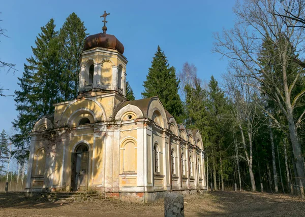 Keresztelő Szent János Ortodox Templom Aljnövényzetű Fák Cserjék Között Fák — Stock Fotó