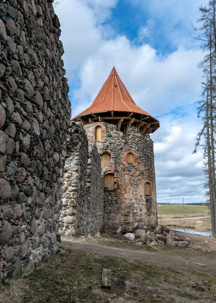 Início Primavera Paisagem Com Vista Para Ruínas Castelo Novo Telhado — Fotografia de Stock