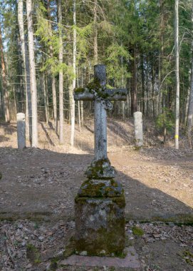 Eski ve terk edilmiş bir kilise parkında baharın başlarında beton çit kazıklar.