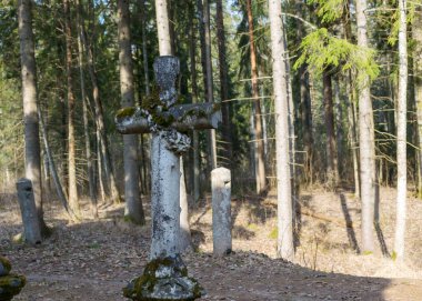 Eski ve terk edilmiş bir kilise parkında baharın başlarında beton çit kazıklar.
