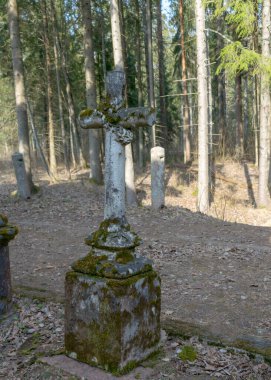 Eski ve terk edilmiş bir kilise parkında baharın başlarında beton çit kazıklar.