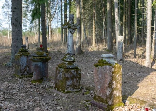 Betonowe Słupy Ogrodzenia Starym Opuszczonym Parku Kościelnym Wczesna Wiosna Przyrodzie — Zdjęcie stockowe