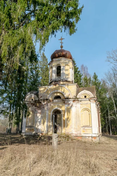 Galgauskas Johannes Doper Orthodoxe Kerk Tussen Ondergroei Bomen Struiken Boven — Stockfoto