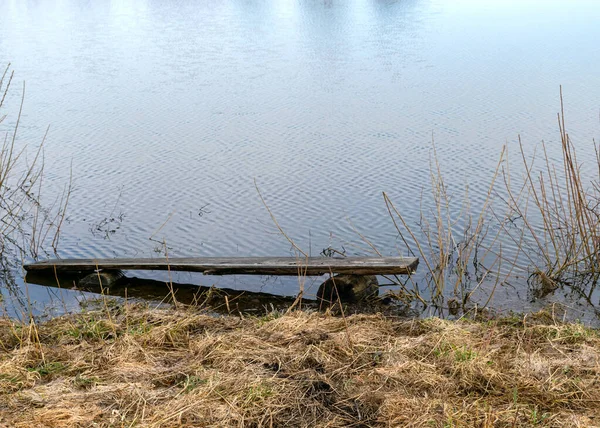 Frühlingslandschaft Mit Wildem Teich Und Getrocknetem Schilf Vorfrühling Der Natur — Stockfoto