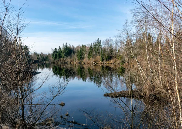 小さな野生の池の上の春の風景青い空は穏やかな水面に反射し — ストック写真