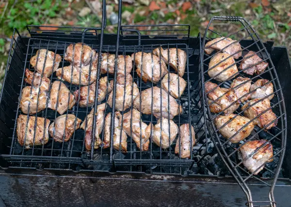 Picture Iron Bars Which Bake Meat Picnic Nature — Stock Photo, Image