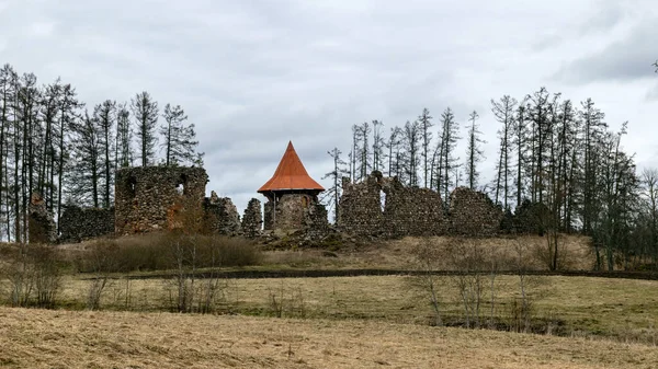 城の遺跡を望む早春の風景は 城の塔の新しい明るいオレンジ色の屋根は エルゲメ城の遺跡 ヴァルカ地区 ラトビア — ストック写真