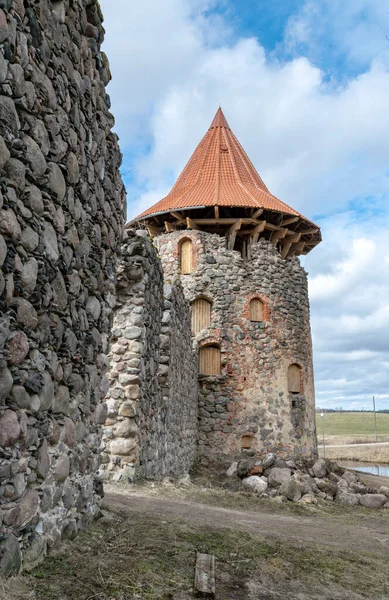 Início Primavera Paisagem Com Vista Para Ruínas Castelo Novo Telhado — Fotografia de Stock