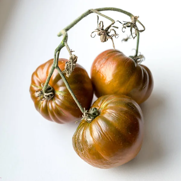 Foto Com Tomate Murcho Enrugado Fundo Leve Adequado Para Papel — Fotografia de Stock