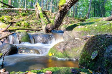 Kayalar arasında küçük, vahşi ve hızlı bir nehir akıntısı olan manzara, uzun vadede su, kayalar, ağaçlar ve sonbahar yaprakları, doğada sonbahar.