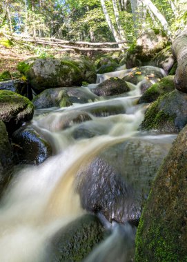Kayalar arasında küçük, vahşi ve hızlı bir nehir akıntısı olan manzara, uzun vadede su, kayalar, ağaçlar ve sonbahar yaprakları, doğada sonbahar.