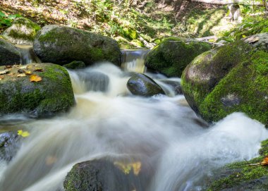 Kayalar arasında küçük, vahşi ve hızlı bir nehir akıntısı olan manzara, uzun vadede su, kayalar, ağaçlar ve sonbahar yaprakları, doğada sonbahar.
