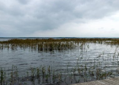 Bulutlu bir gün, gri bulutlar, göl kenarındaki manzara ve kamışlar, Letonya 'daki Engure Nature Park,