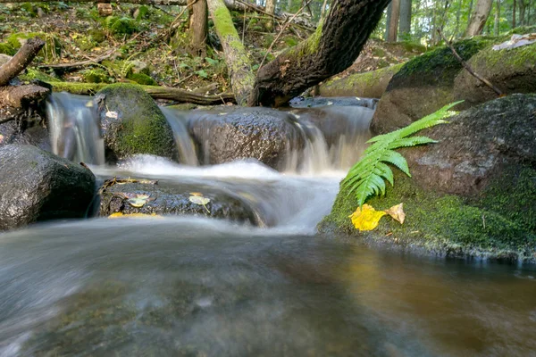 Kayalar arasında küçük, vahşi ve hızlı bir nehir akıntısı olan manzara, uzun vadede su, kayalar, ağaçlar ve sonbahar yaprakları, doğada sonbahar.