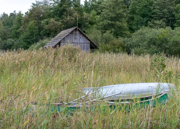 Utsikt Över Träbåt Hus Sjön Stranden Igenväxt Med Vass Sjö — Stockfoto