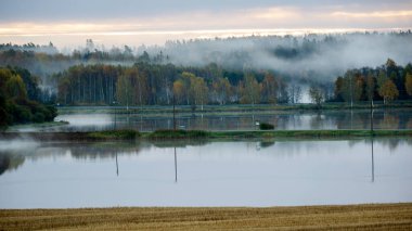 Sabahın erken saatlerinde göl kenarında, suyun üzerinde hafif sis, sonbahar renklerinde ağaçlar, sonbaharda doğa, Letonya