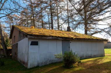 Sakin sonbahar manzarası, yosun kaplı eski bina, sonbahar renklerinde park yeri, renkli ağaç yaprakları, Letonya