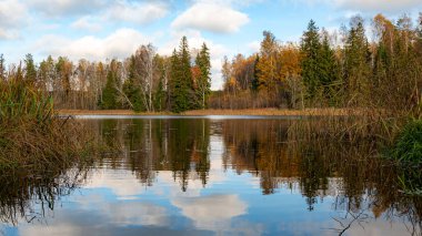 Sonbahar manzarası, göl kıyısı, göl kenarında gün, göl suyuna yansıyan renkli ağaçlar, Vaidava Gölü, Letonya, düşüşü