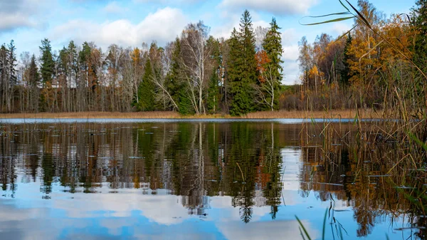Sonbahar manzarası, göl kıyısı, göl kenarında gün, göl suyuna yansıyan renkli ağaçlar, Vaidava Gölü, Letonya, düşüşü