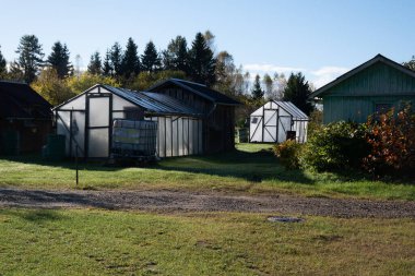 Sabah ışığında güneşli seralar, sabah ayazından etkilenen güz çiçekleri, bahçe tahsis konsepti, sonbahar