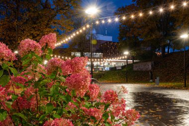 Güzel bir akşam manzarası, sonbaharda şehir manzarası aydınlanmış sokaklar ve evler, yansımalar ve parlak renkler, Valmiera, Letonya
