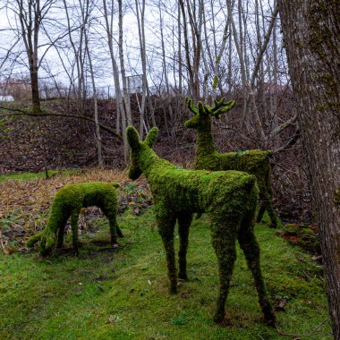 sonbahar manzarası yosundan yapılmış bahçe heykelleri, sonbaharda park, devrilmiş ağaç yaprakları, sonbahar