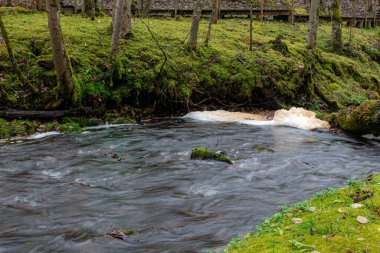 Suyun akıntıya, sonbahar manzarasına, Kasım ayında doğaya, Ieriku değirmenine, Melderupe 'ye, Letonya' ya dökülüşüne uzun süre maruz kalma görüntüsü