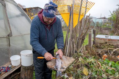 Balıkçı yakaladığı balıklardan, balık tutmaktan, balık tutma konseptinden, boş zaman eğlencesinden, doğada eğlenmekten, büyük hobilerden, sonbaharda yaptığı işlerden memnun.