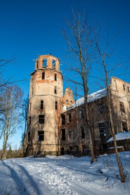 Eski kale harabeleriyle kış manzarası, soğuk kış günü, Veckarki Kalesi, Karki, Letonya