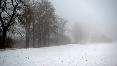 Kasvetli bahar manzarası sisli, bulutlu ve nemli hava, dumanlı sis içindeki çıplak ağaç dalları, ağaç gövdeleri, ıslak kar zemini kaplıyor, Letonya