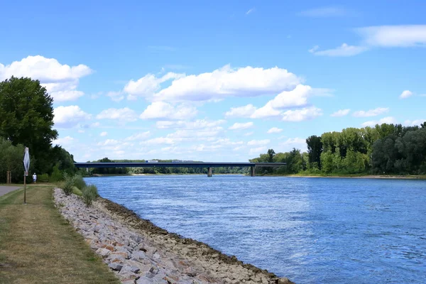 Binnenvaart Rhin River Bij Germersheim — Stockfoto