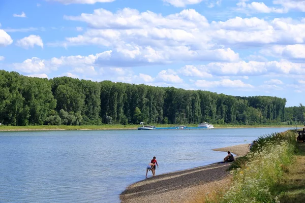 Juli 2020 Germersheim Menschen Schwimmen Rhein Und Entspannen Sich — Stockfoto