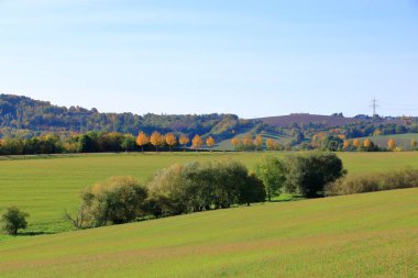 Çimenli çayır ve mavi gökyüzüne karşı büyük sonbahar ağaçları